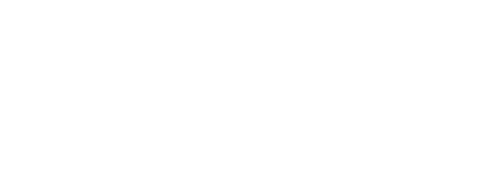 INTEGRITY: High standards of business and professional ethics and honesty